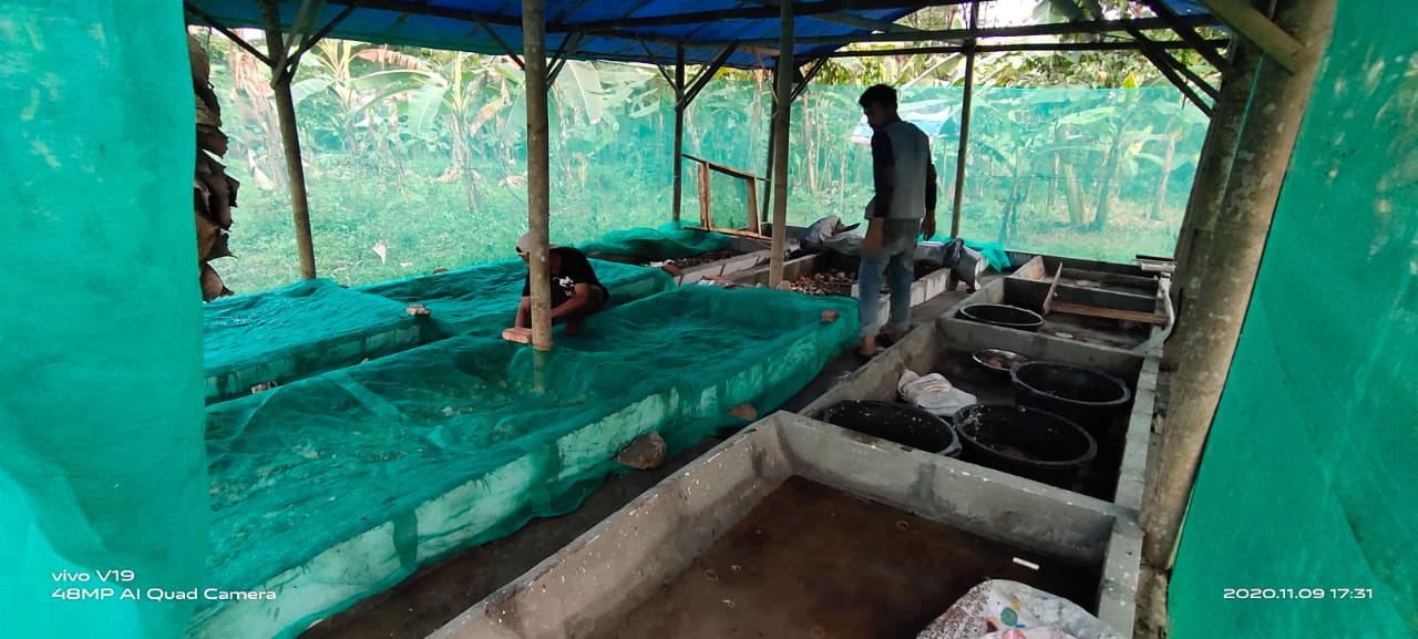 Atasi Sampah Rumah Tangga, UMKM Gerbang Persada Kembangkan Maggot