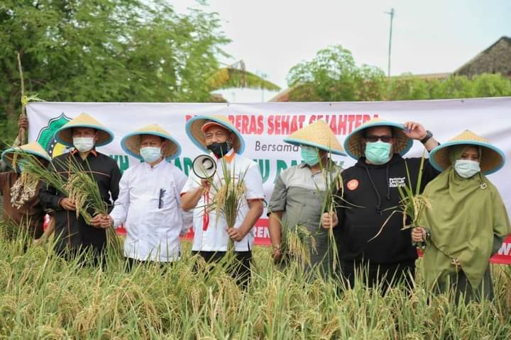 Hadiri Panen Raya di Karawang, Syaikhu: PKS itu Petani Kita Sejahtera
