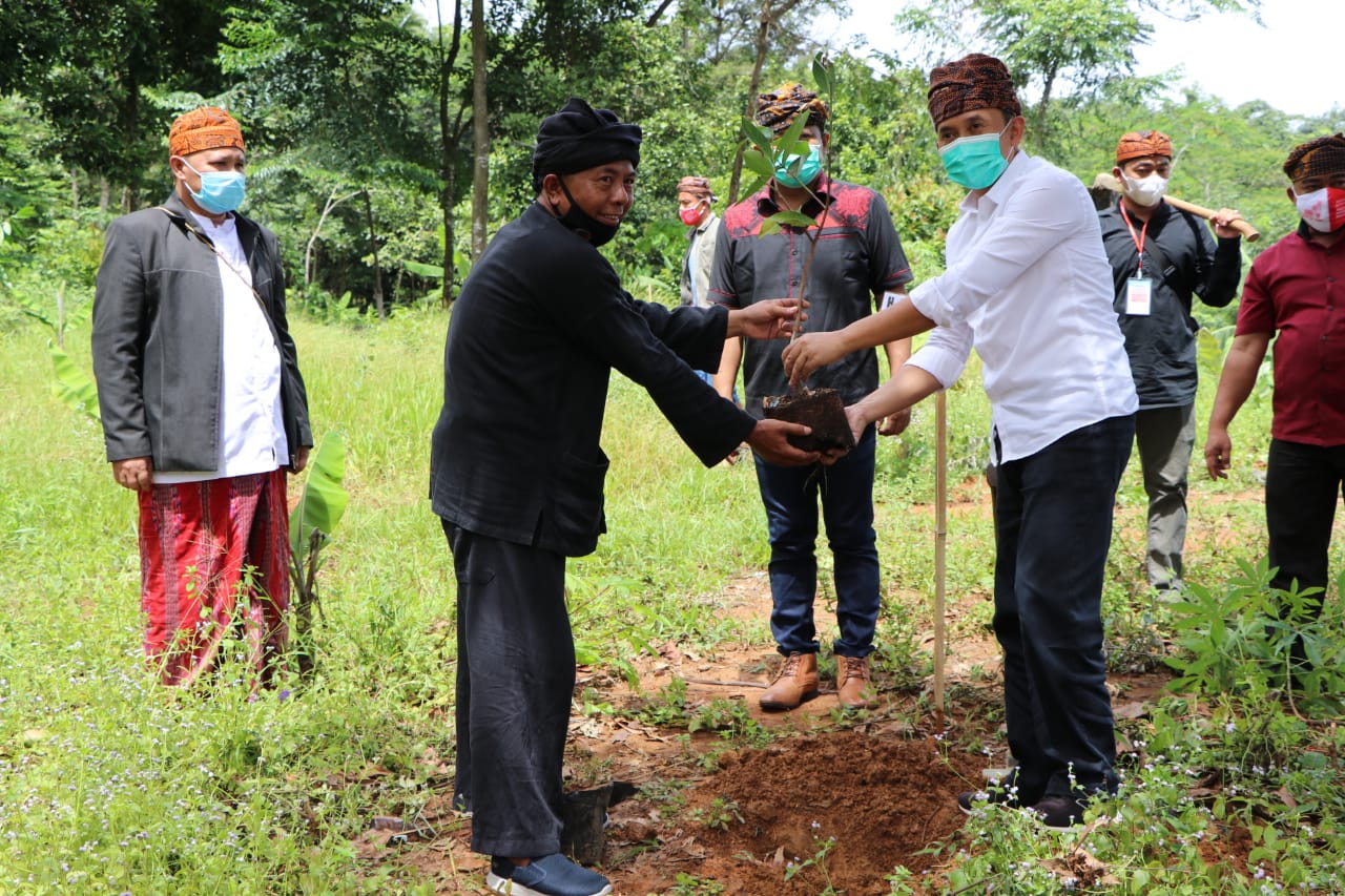 Lestarikan Alam, Wabup Lebak Hadiri Penanaman 10.000 Pohon Oleh DPD HA IPB Banten Dan MPMK.