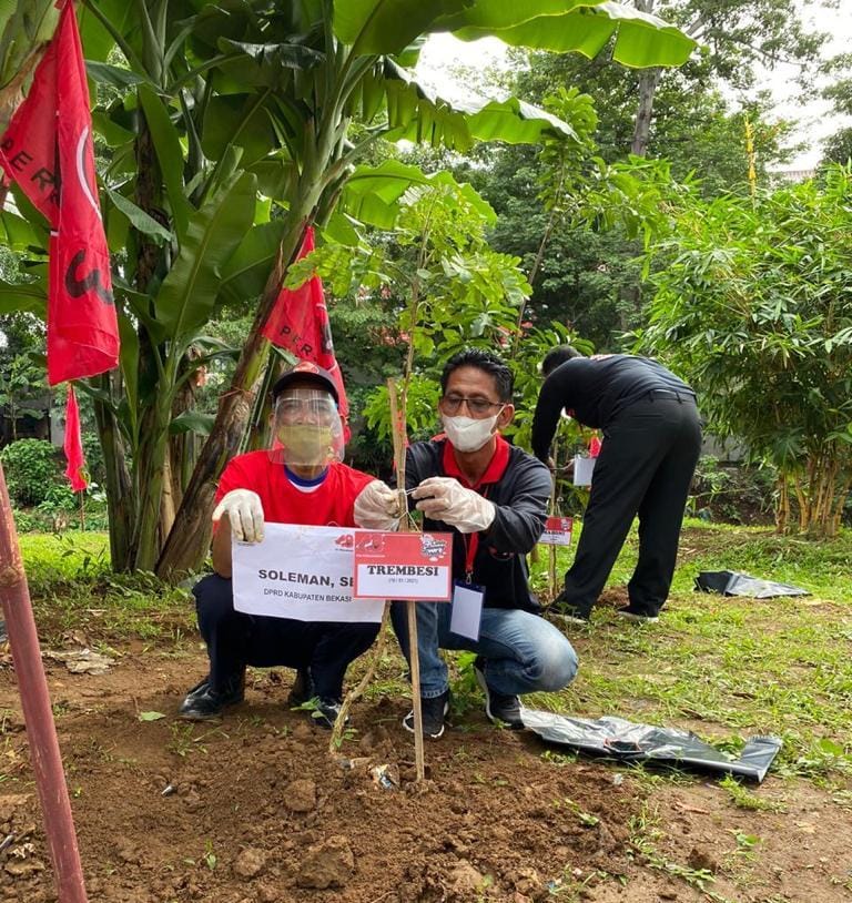 HUT Partai Ke-48, DPC PDI Perjuangan Kabupaten Bekasi Tanam 4800 Bibit Pohon
