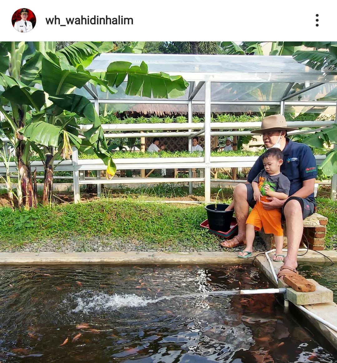 Gubernur Banten Isi Libur Weekend Bareng Cucu Di Kolam Ikan Mujair