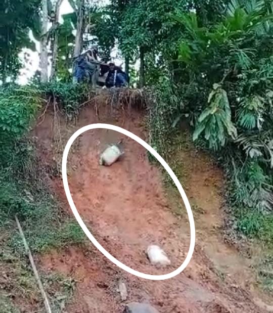 Akses Jalan Lewati Jurang, Dropping Material Menuju Lokasi Proyek P3-TGAI