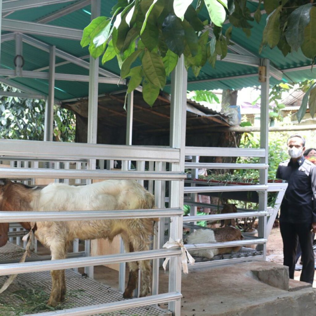 Soal Pemanggilan Kelompok Tani Ternak Oleh Kejaksaan, DKPPP Kota Bekasi Merasa Keberatan