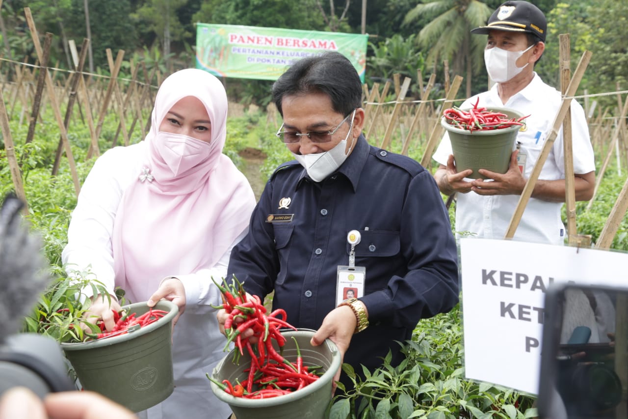Kepala BKP : Pandeglang Penyangga Pangan Banten dan Banten Penyangga Nasional