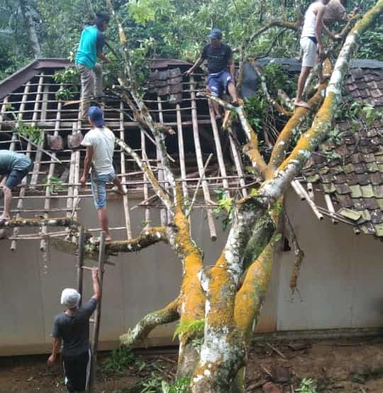 Pohon Tumbang Menimpa Rumah Warga di Lebak