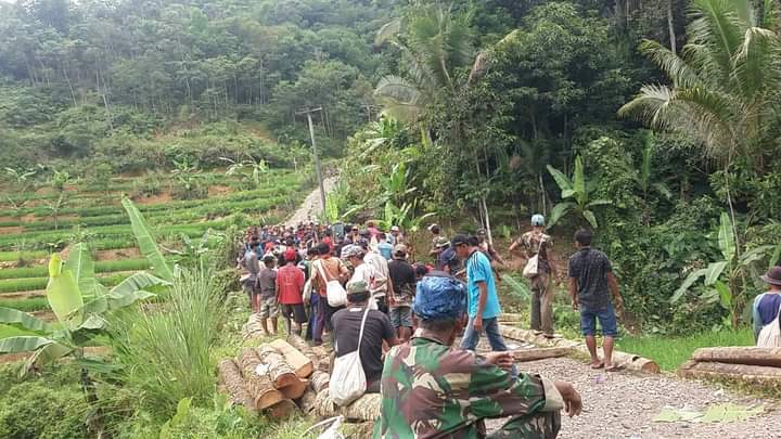 Tak Kunjung Diperbaiki Pemkab Lebak, Warga Inisiatif Bangun Jembatan Gunakan Pohon Kelapa