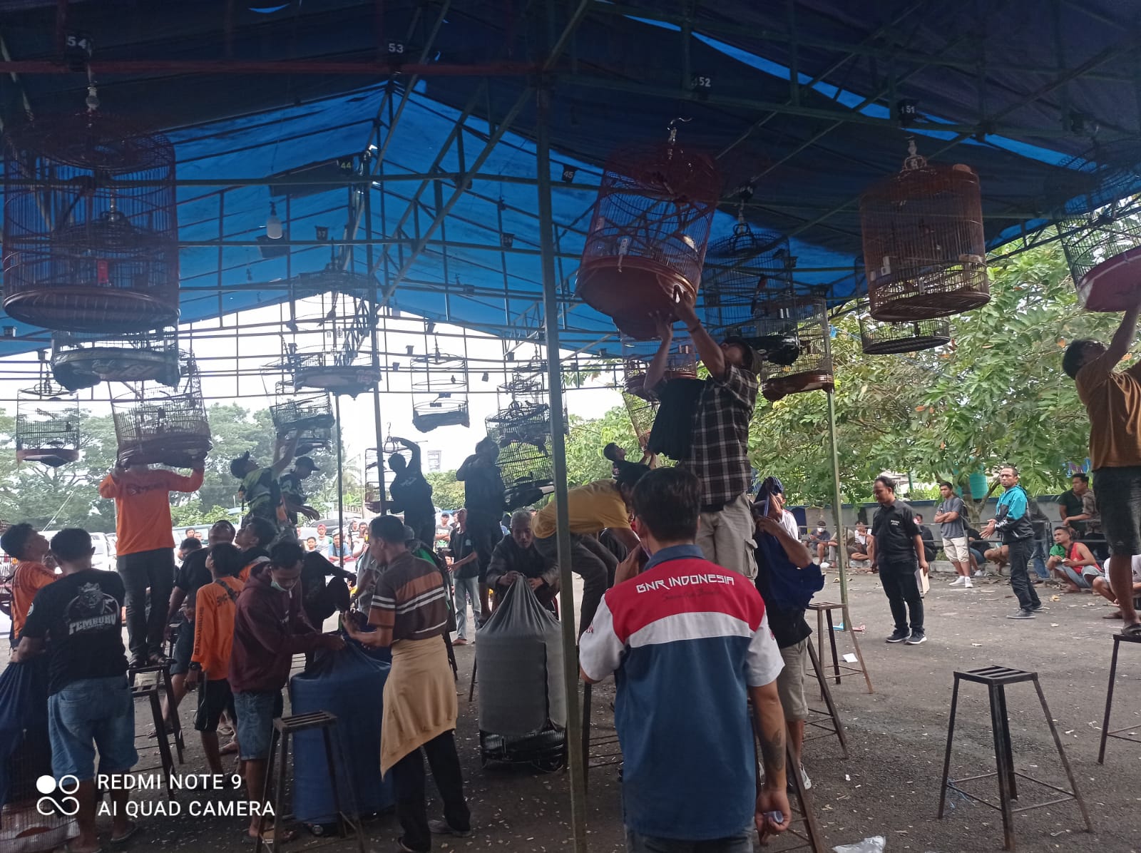 Komunitas 234 SC Lebak gelar kontes burung dorong pemulihan ekonomi