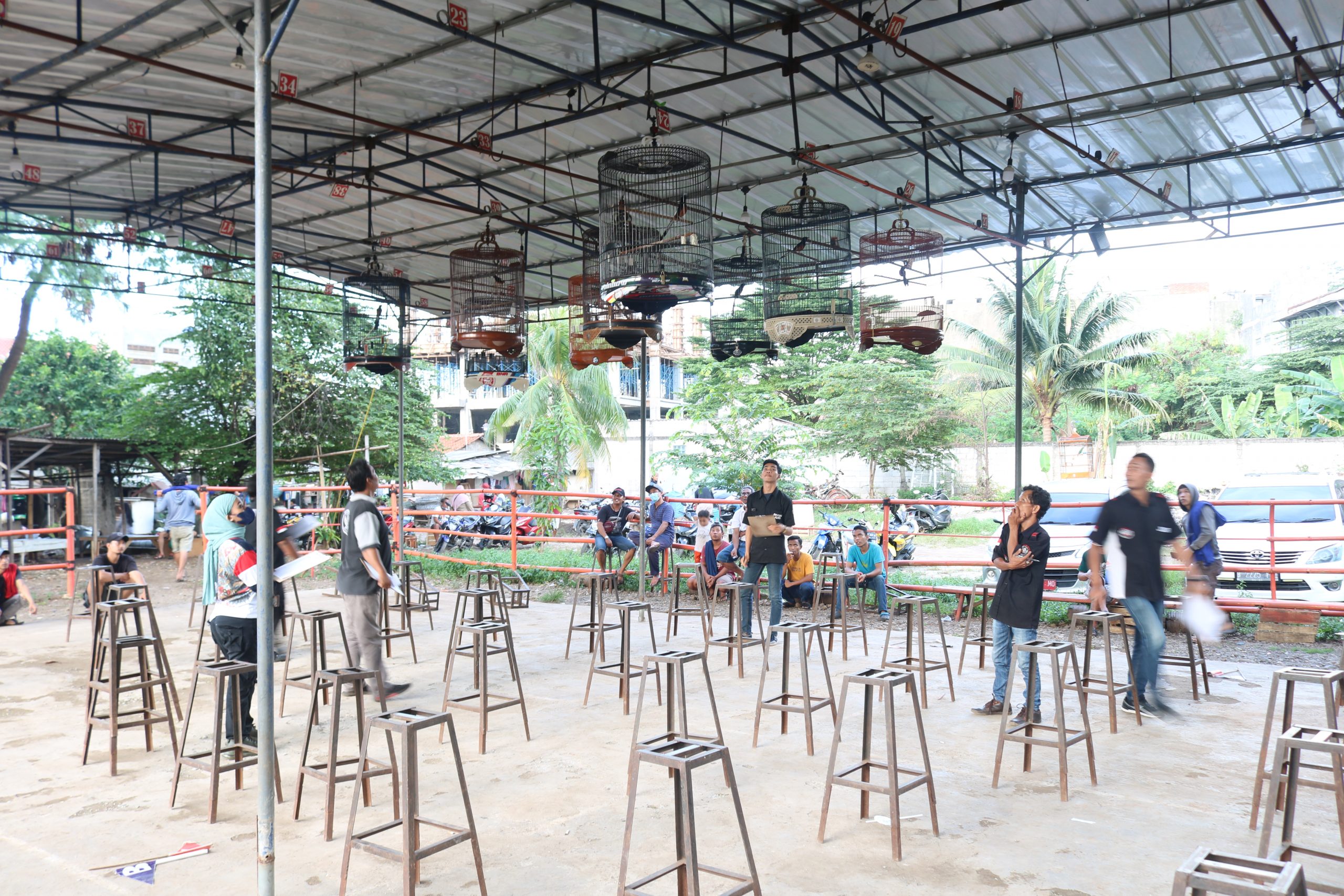 SBK Enterprise Bersama Juri Professional BNR Indonesia Gelar Kontes Burung Kicau  “LATPRES BNR Army 2”