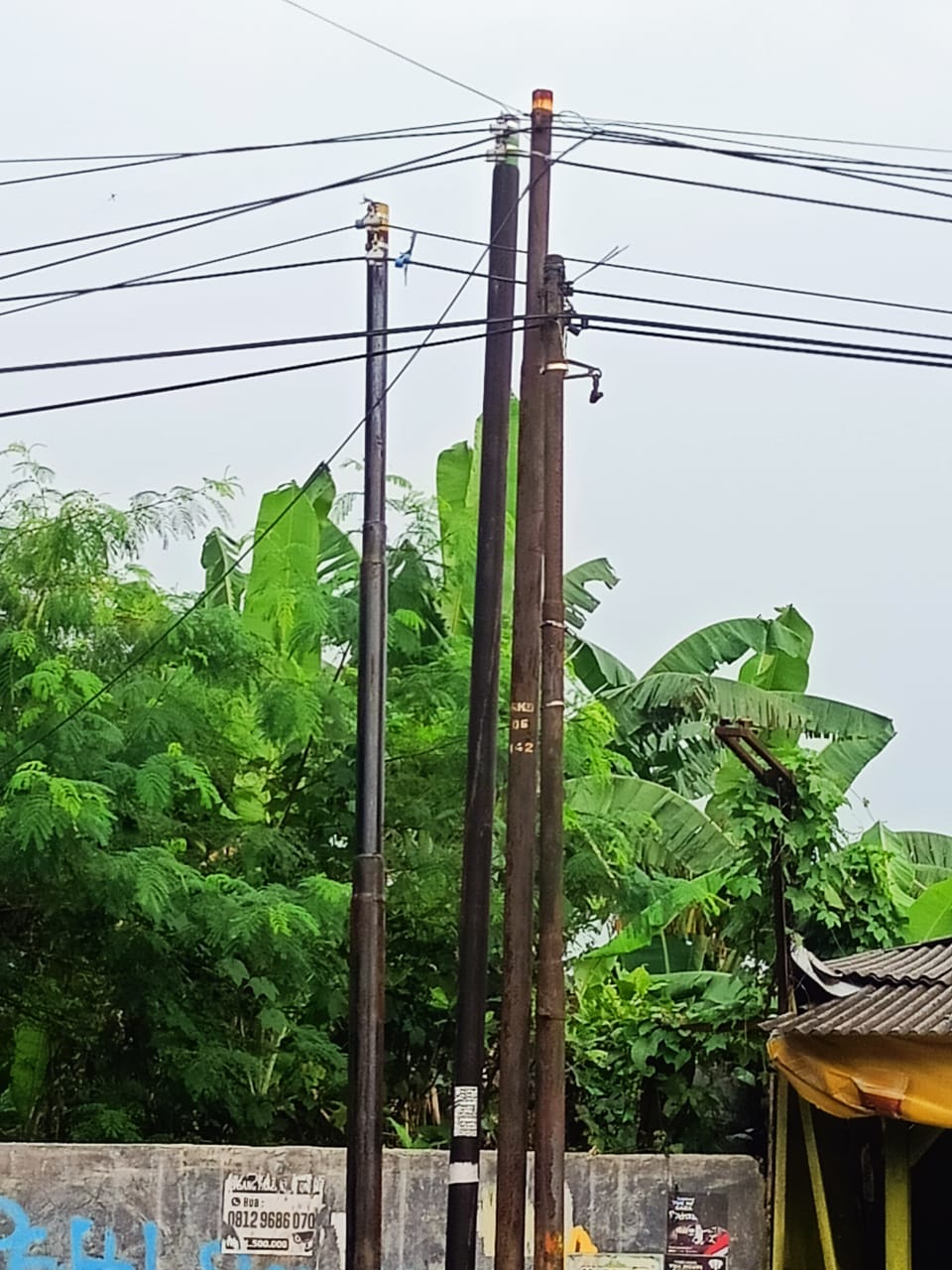 Komunas Minta Pol PP Lebak Cabut Tiang Telepon Biznet, Belum Berijin