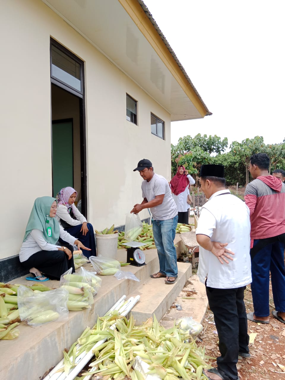 Indonesia Hebat, Ekonomi Kuat Laksanakan Program Ketahanan Pangan, Pemdes Beringin Taluk Motivasi Masyarakat