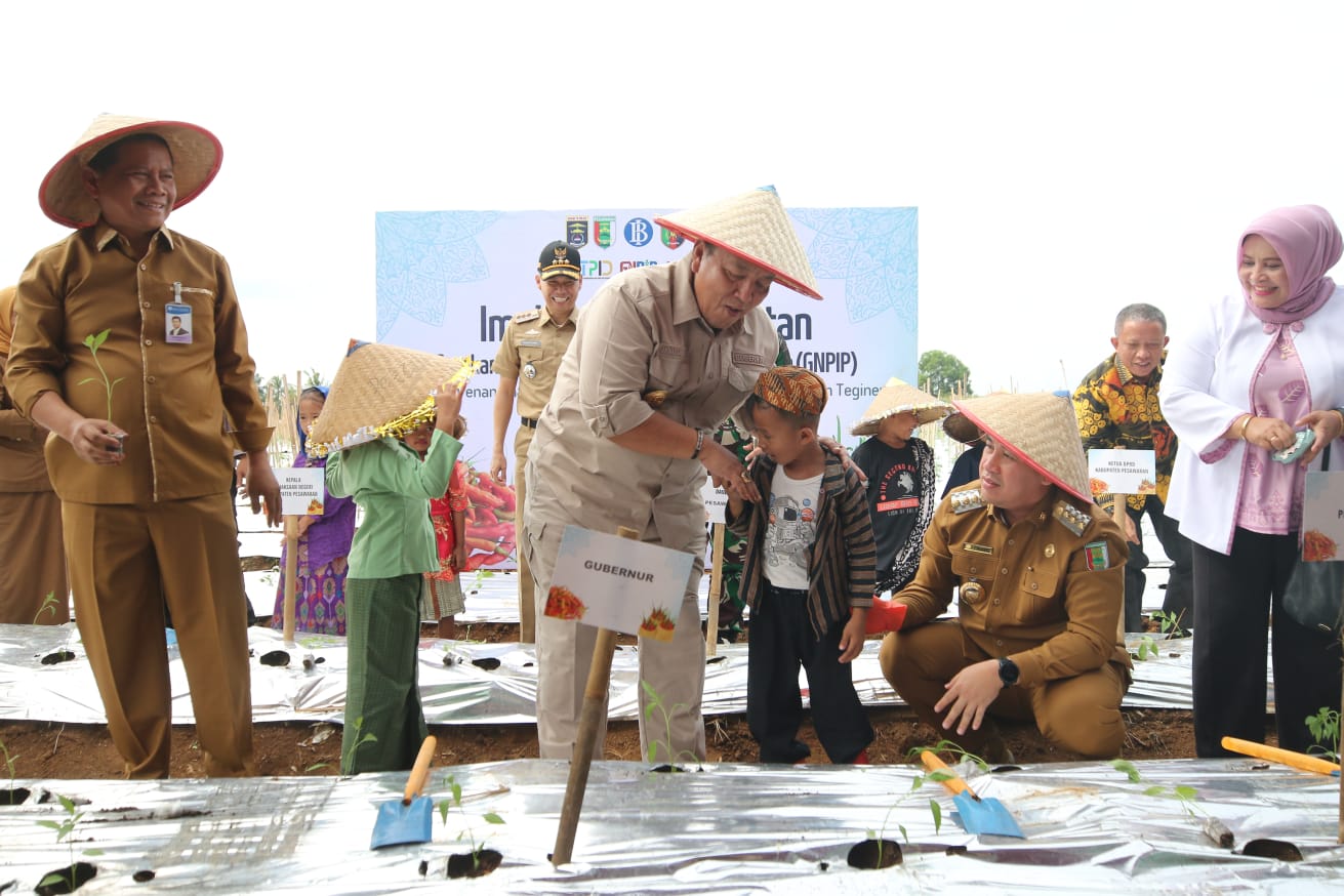 Gubernur Arinal Laksanakan Gerakan Tanam Cabai
