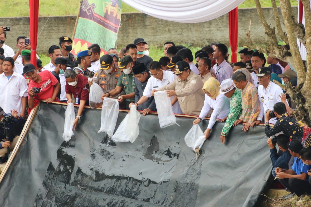 Gubernur Arinal Djunaidi Lakukan Penebaran 300.000 Benih Ikan Baung