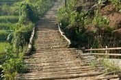 Tidak Kunjung Dibangun, Warga Di Lebak Gotong Royong Bangun Jembatan Dari Batang Kelapa