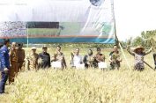 Kementan Gelar Panen Raya Padi Perdana 2023 di Pandeglang