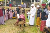 Santri Al-Fath Dilatih Potong Hewan Kurban