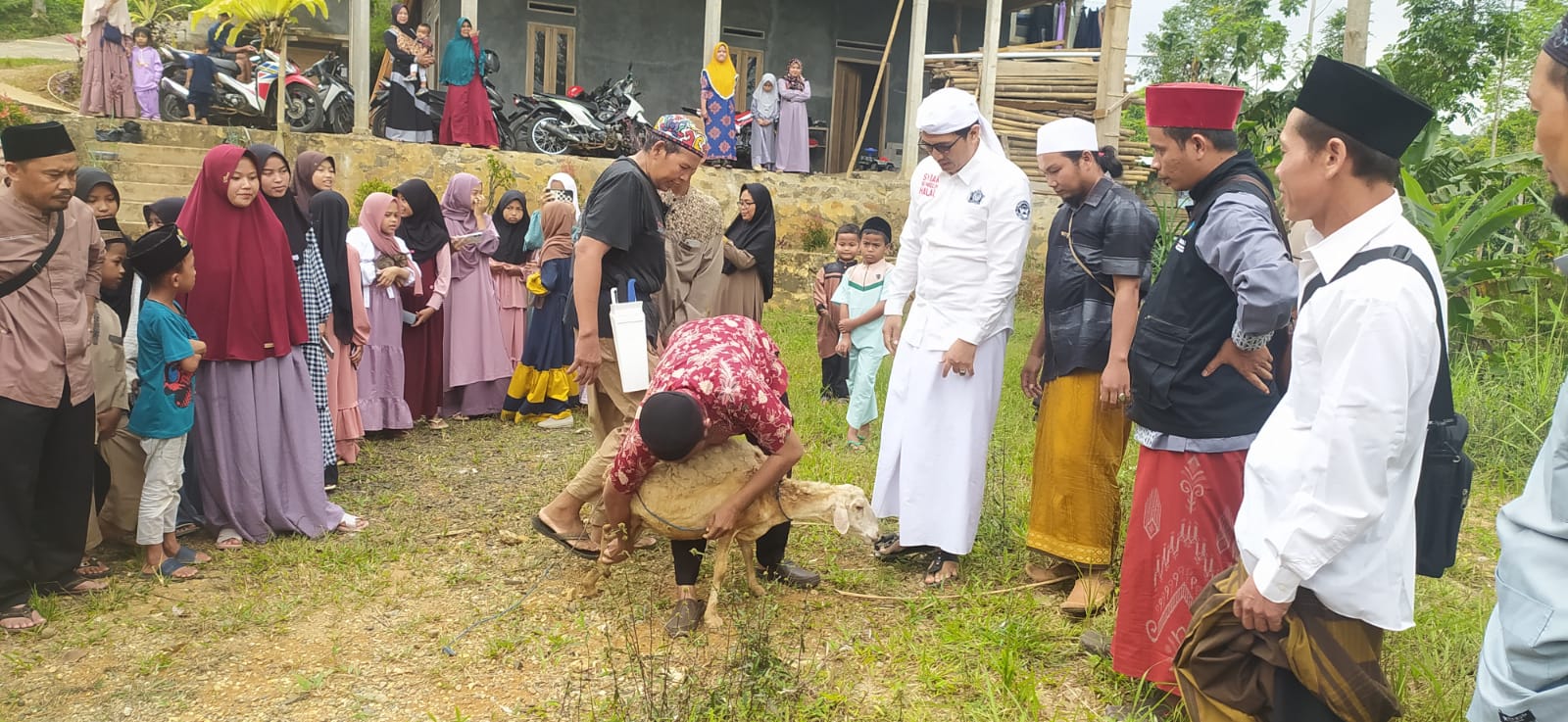 Santri Al-Fath Dilatih Potong Hewan Kurban