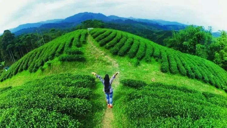 5 Tempat Wisata di Lebak yang Wajib Dikunjungi Saat Libur