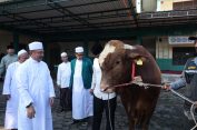 Plh Wali Kota Bekasi Serahkan Sapi Kurban Presiden Prabowo di Jatiasih