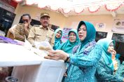 Tinawati Andra Soni: PKK Hadir sebagai Sahabat Keluarga dan Penguat Ketahanan Masyarakat