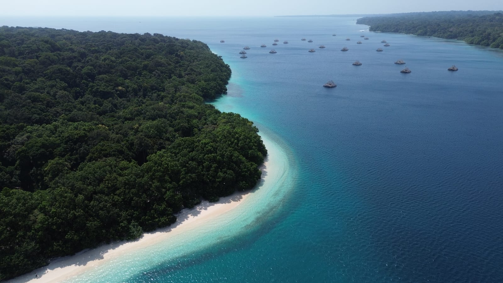 Pesona Ujung Kulon Mendunia, Banten Tawarkan Wisata Alam dan Konservasi dalam Satu Destinasi