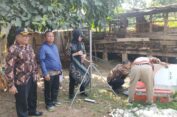 DLH Kota Bekasi Investigasi Dugaan Pencemaran Udara Sumur Batu